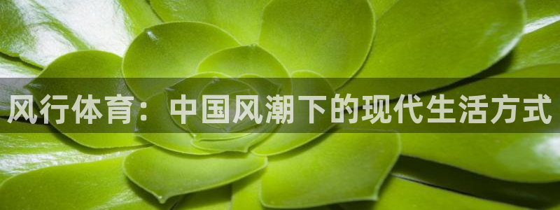 杏运满糖