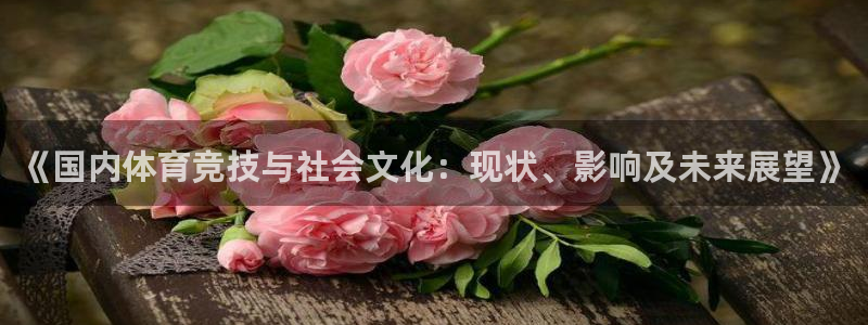杏运体育官网注册