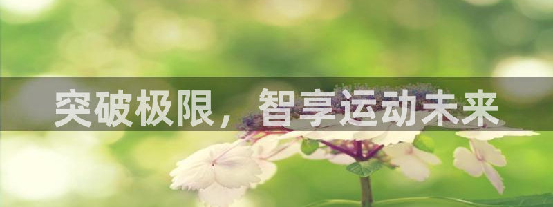 杏运集团