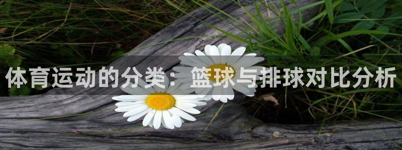 杏运体育官网