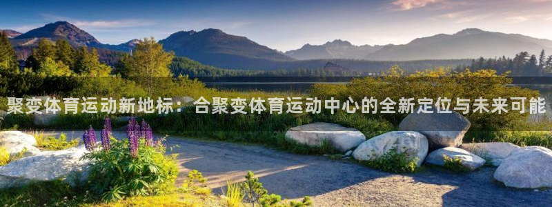 杏运电动汽车多少钱一辆