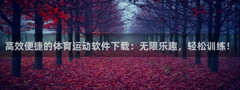 杏运代理