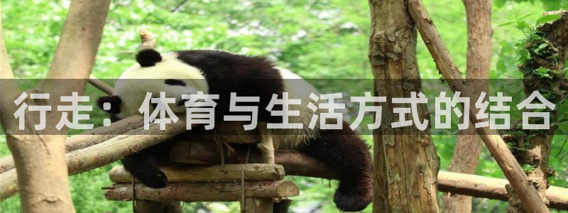 杏运2平台注册