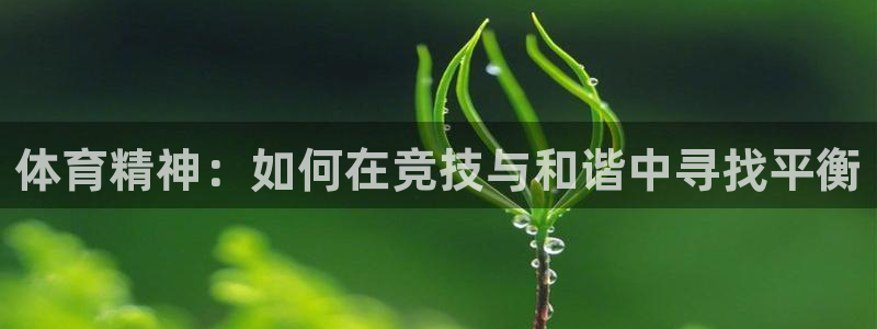 杏运3登录