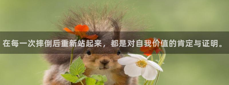 杏运达贝哪里卖