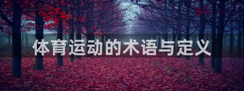 杏运体育凯捷平台注册