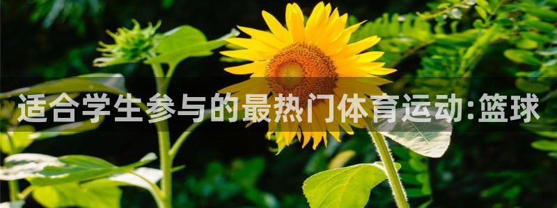 成都杏运电子有限公司
