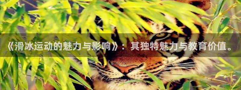 杏运5招商